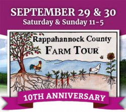 Rappahannock.com - Events